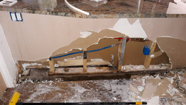 Best Ceiling water damage repair  in Valley Park, MO