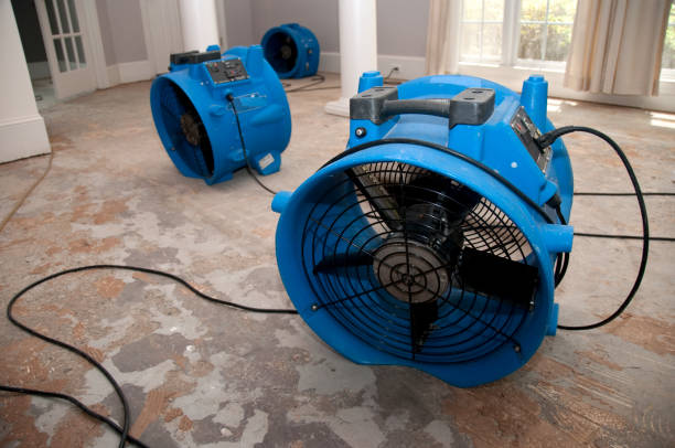Best Basement water damage restoration  in Valley Park, MO
