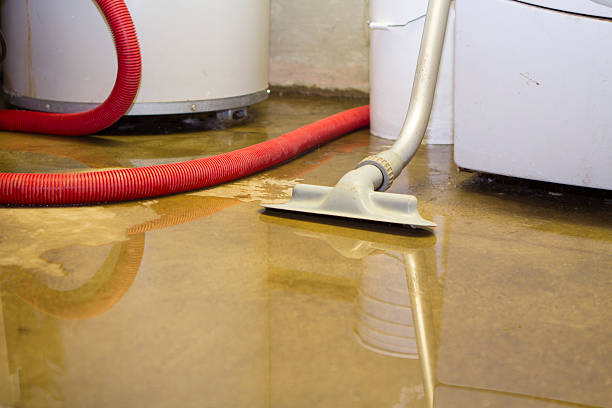 Best Water damage restoration near me  in Valley Park, MO