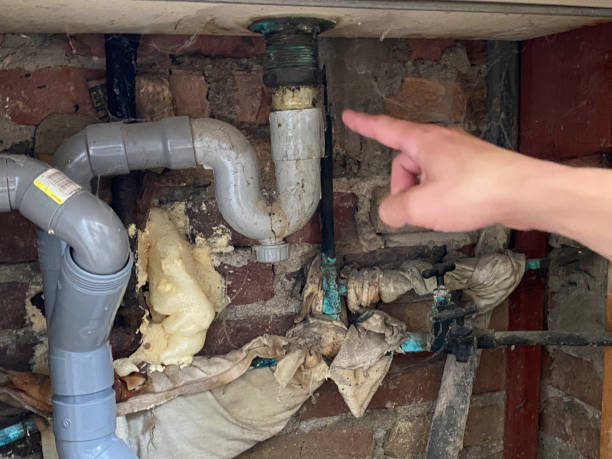  Valley Park, MO Water damage restoration Pros