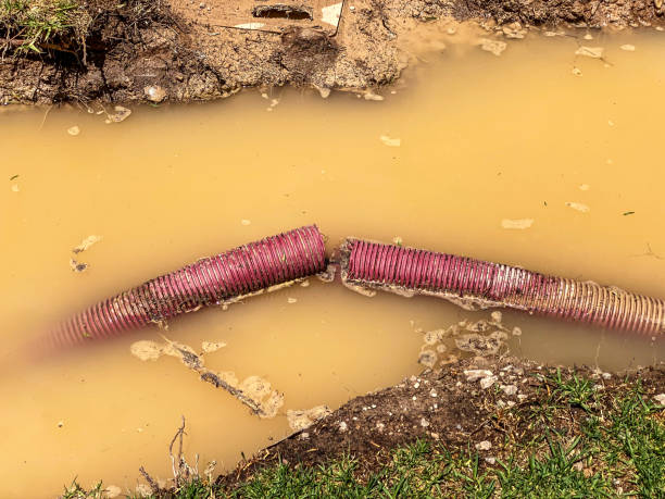 Best Basement water damage restoration  in Valley Park, MO