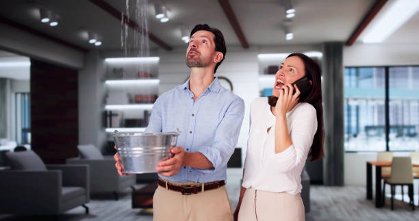 Best Fire Damage Restoration  in Valley Park, MO