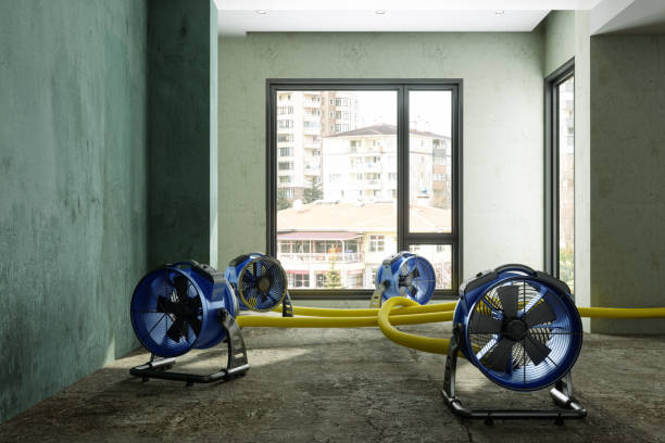 Best Sewage cleanup and water damage restoration  in Valley Park, MO